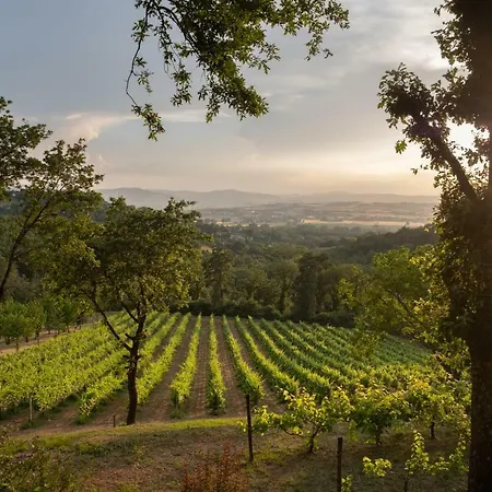 Le Cerque Collazzone