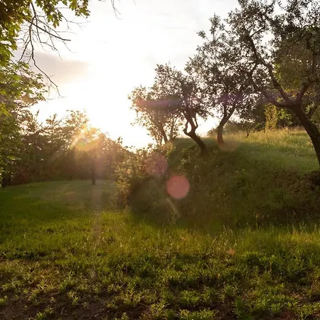 Le Cerque Collazzone