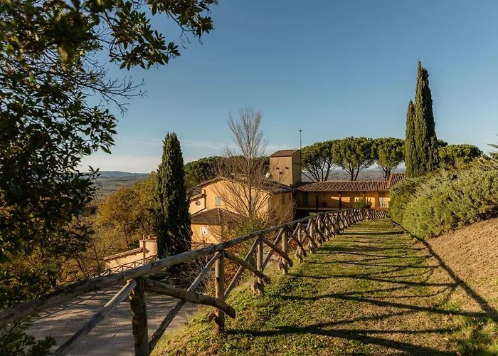 Le Cerque Collazzone