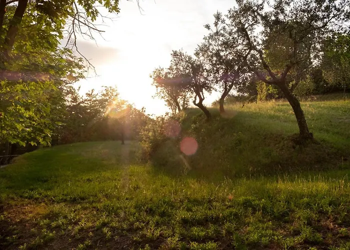 Le Cerque Collazzone